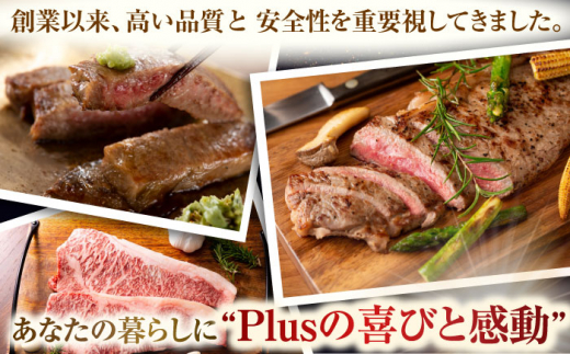 【A4～A5】長崎和牛サーロインステーキセット　500g（250g×2枚）【株式会社 MEAT PLUS】 [QBS014]