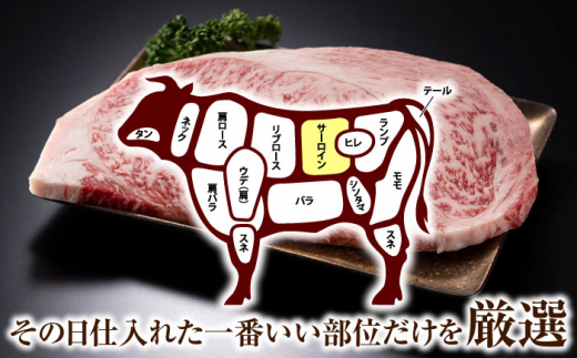 【A4～A5】長崎和牛サーロインステーキセット　500g（250g×2枚）【株式会社 MEAT PLUS】 [QBS014]