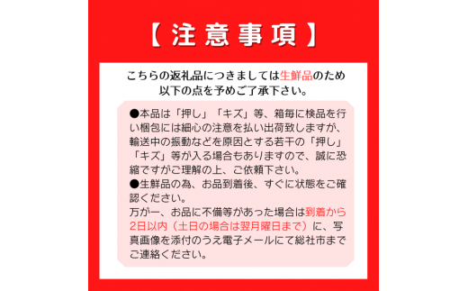 白桃「窪津真果園の白麗（約2kg箱）」岡山県総社市産【2025年産先行予約】25-035-006