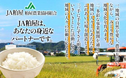 【3ヶ月 定期便】夢つくし 合計30kg 10kg×3回 白米 お米 ご飯 米 精米 送料無料 お取り寄せグルメ お取り寄せ 福岡 お土産 九州 福岡土産 取り寄せ グルメ 福岡県