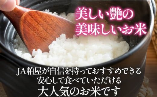 【3ヶ月 定期便】夢つくし 合計30kg 10kg×3回 白米 お米 ご飯 米 精米 送料無料 お取り寄せグルメ お取り寄せ 福岡 お土産 九州 福岡土産 取り寄せ グルメ 福岡県