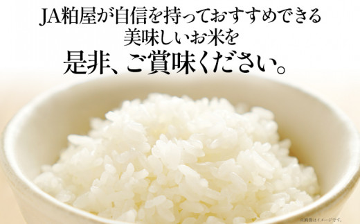 【3ヶ月 定期便】夢つくし 合計30kg 10kg×3回 白米 お米 ご飯 米 精米 送料無料 お取り寄せグルメ お取り寄せ 福岡 お土産 九州 福岡土産 取り寄せ グルメ 福岡県