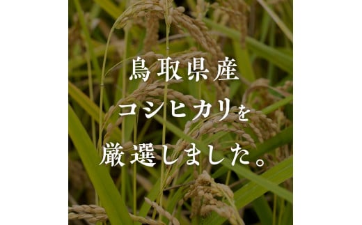 【新米】【白米】令和6年産 鳥取県産コシヒカリ 5kg 米 お米 こめ コメ 精米 日南町精米 鳥取県日南町