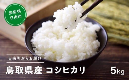 【新米】【白米】令和6年産 鳥取県産コシヒカリ 5kg 米 お米 こめ コメ 精米 日南町精米 鳥取県日南町