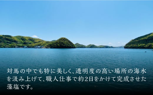 対馬 ひじき 藻塩 セット《対馬市》【森友商店】 和食 塩 旨味 天然 島土産 調味料 ミネラル しお 出汁 [WBS003]