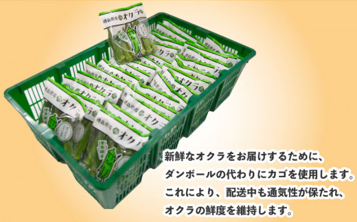 野菜 オクラ 2kg以上 (約70g×30) やさい 夏野菜 こだわり栽培 国産 サラダ 天ぷら 味噌汁 スープ 美容 健康 おかず おつまみ 惣菜 弁当 日用 お取り寄せ グルメ 送料無料 徳島県 阿波市 須見商店