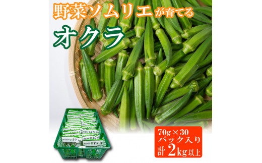 野菜 オクラ 2kg以上 (約70g×30) やさい 夏野菜 こだわり栽培 国産 サラダ 天ぷら 味噌汁 スープ 美容 健康 おかず おつまみ 惣菜 弁当 日用 お取り寄せ グルメ 送料無料 徳島県 阿波市 須見商店