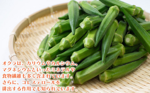 野菜 オクラ 2kg以上 (約70g×30) やさい 夏野菜 こだわり栽培 国産 サラダ 天ぷら 味噌汁 スープ 美容 健康 おかず おつまみ 惣菜 弁当 日用 お取り寄せ グルメ 送料無料 徳島県 阿波市 須見商店