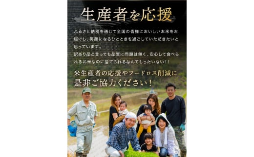 令和6年産   【定期便6回】 熊本県産 森のくまさん 白米 5kg | 小分け 5kg × 1袋  熊本県産 こめ 米 白米 ごはん 銘柄米 ブランド米 単一米 人気 日本遺産 菊池川流域 こめ作り ごはん ふるさと納税 返礼品