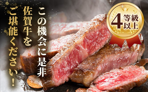 【5月配送】佐賀牛 サーロインステーキ 400g ステーキソース付 佐賀県産 バーベキュー アウトドア BBQ D-188