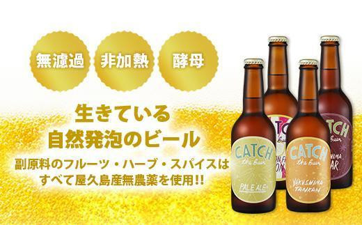 【定期便3ヶ月】屋久島・地ビール Catch the Beerおまかせビール4種12本セット