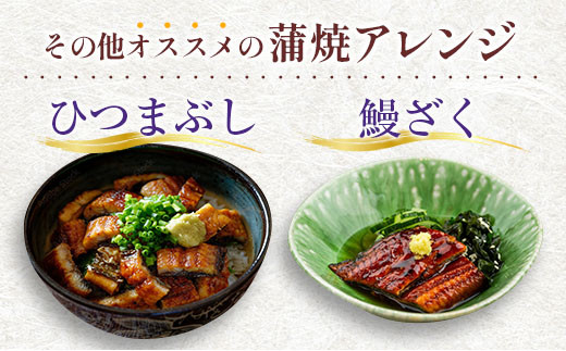 【2025年1月31日受付終了】＜数量限定＞うなぎ 定期便 国産 鰻 蒲焼 4尾セット定期便 （2025年2月,3月,4月お届け）全3回 合計2kg以上 魚介 贈答品 ギフト ウナギ 期間限定 鰻楽【E195-25】