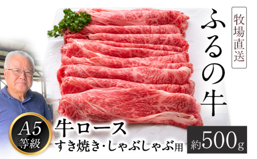 ふるの牛（黒毛和牛）ロースすき焼き・しゃぶしゃぶ用 500g A5 有限会社ふるの《30日以内に出荷予定(土日祝除く)》