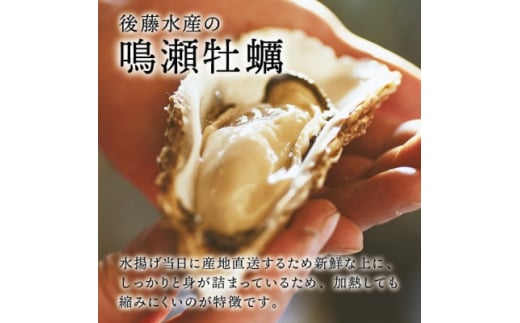 ＜先行受付＞ご家庭で浜の味わい!『鳴瀬牡蠣のカンカン焼セット』後藤水産 殻付き 約2.5kg【1457689】