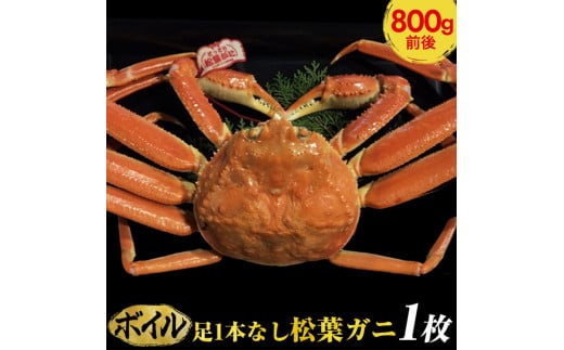 ６９３．【早期受付】【ボイル】足1本なし松葉ガニ　大1枚（800g前後）《かに カニ 蟹 ズワイガニ 》
※着日指定不可
※2024年11月上旬頃から順次発送予定