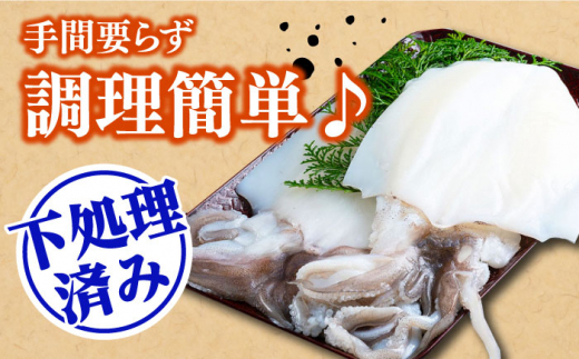 【 対馬産 】水 イカ （ アオリイカ ） 生 冷凍 1.5kg 《対馬市》【石川水産】刺身 塩辛 鮮度抜群 海鮮 [WAB009]冷凍 新鮮 下処理 刺身 煮付け 塩焼き 海鮮 あおりいか おつまみ もう1品 真空パック 簡単調理 アオリイカ 対馬 長崎