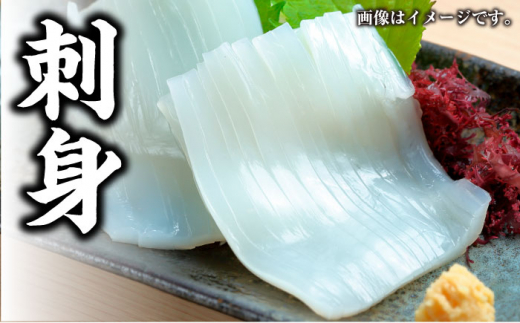 【 対馬産 】水 イカ （ アオリイカ ） 生 冷凍 1.5kg 《対馬市》【石川水産】刺身 塩辛 鮮度抜群 海鮮 [WAB009]冷凍 新鮮 下処理 刺身 煮付け 塩焼き 海鮮 あおりいか おつまみ もう1品 真空パック 簡単調理 アオリイカ 対馬 長崎