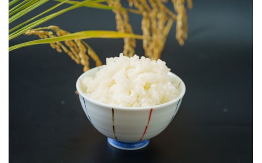 特別栽培米 コシヒカリ 白米 4kg （2kg×2袋）食味値80以上 栽培期間中農薬不使用 有機肥料 かわじま町の天領米 令和5年産 2023年産 小分け 米 コメ 安心 安全  減農薬 埼玉県認証 埼玉県 川島町