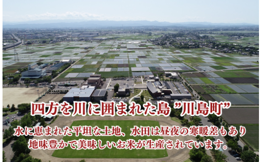 特別栽培米 コシヒカリ 白米 4kg （2kg×2袋）食味値80以上 栽培期間中農薬不使用 有機肥料 かわじま町の天領米 令和5年産 2023年産 小分け 米 コメ 安心 安全  減農薬 埼玉県認証 埼玉県 川島町