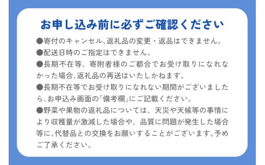 [有機JAS認証] オーガニック新玉ねぎ 10kg 「2025年6月中旬より順次発送」｜先行予約 数量限定 期間限定 タマネギ 新たまねぎ 玉葱 たまねぎ 産地直送 農家直送 有機野菜 国産 群馬県産 甘楽町産 [0211]