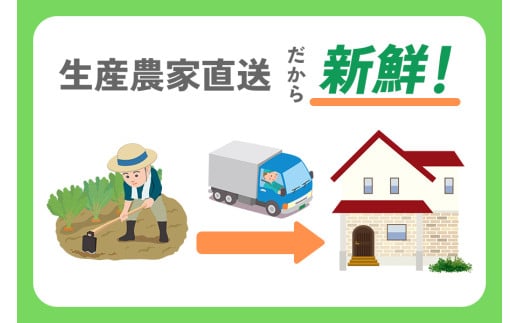 [有機JAS認証] オーガニック新玉ねぎ 10kg 「2025年6月中旬より順次発送」｜先行予約 数量限定 期間限定 タマネギ 新たまねぎ 玉葱 たまねぎ 産地直送 農家直送 有機野菜 国産 群馬県産 甘楽町産 [0211]