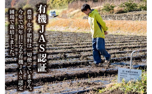 [有機JAS認証] オーガニック新玉ねぎ 10kg 「2025年6月中旬より順次発送」｜先行予約 数量限定 期間限定 タマネギ 新たまねぎ 玉葱 たまねぎ 産地直送 農家直送 有機野菜 国産 群馬県産 甘楽町産 [0211]