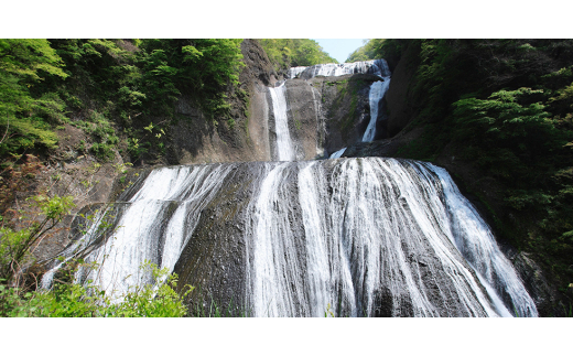 茨城県オリジナルメロン「イバラキング」＜アンテナ付き2玉・化粧箱入り＞【1478603】