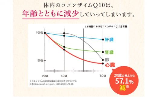 ＜機能性表示食品＞DHC コエンザイムQ10還元型 30日分