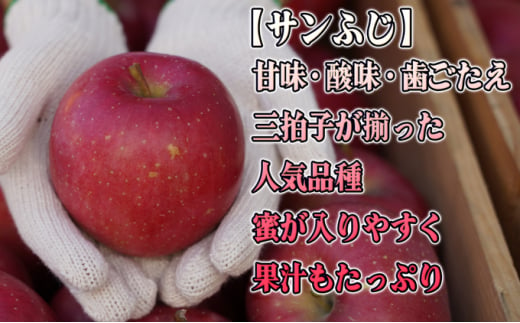 11～12月 特A蜜入りサンふじ約5kg（12～18玉）14.5度保証【青森りんご・ゆうきアップル・11月・12月】