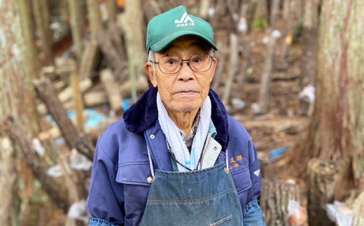 肉厚 人気 おいしい シイタケ しいたけ