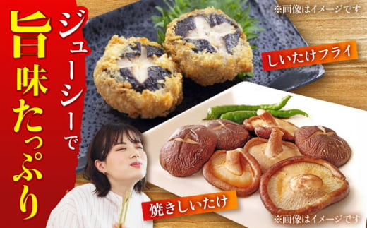 肉厚 人気 おいしい シイタケ しいたけ