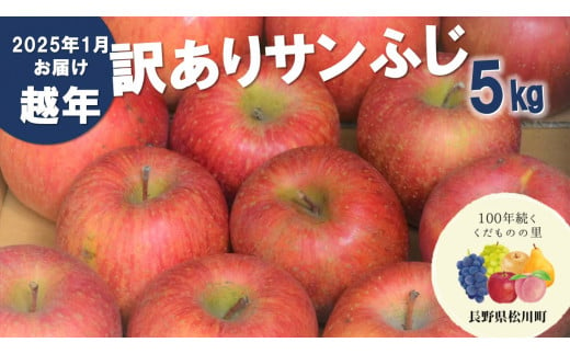 越年自家用サンふじ 5kg　翌年1月中旬頃配送いたします。