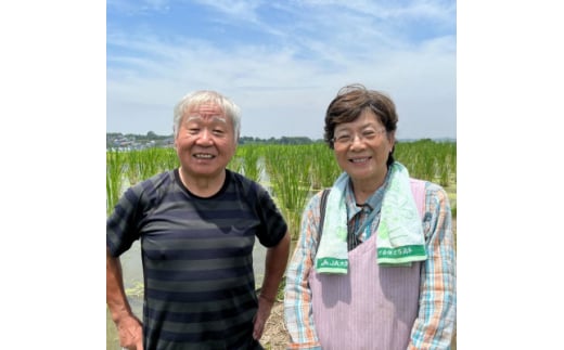 ＜大阪千早赤坂村産＞まこもだけ約3Kg　秋の味覚(旬)を直送します。【1435023】