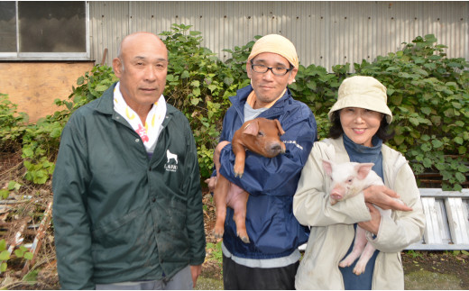 【大月町産】たっぷり よさこい尾鶏×力豚セット