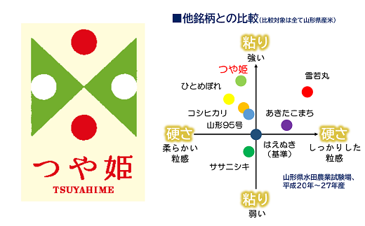 【令和6年産 新米 先行予約】 特別栽培米 つや姫 (玄米) 10kg 《令和6年10月上旬～発送》 『田口農園』 山形南陽産 米 ご飯 農家直送 山形県 南陽市 [1928-R6]