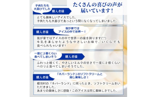 大人気のソフトクリームを再現！『生ソフトクリームアイス』 お試し3個入り  アイスクリーム 3500円