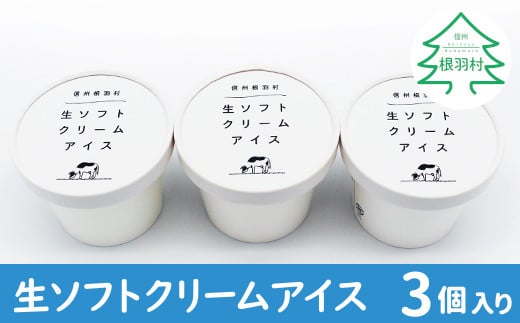 大人気のソフトクリームを再現！『生ソフトクリームアイス』 お試し3個入り  アイスクリーム 3500円