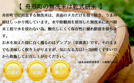 【無洗米】つや姫10kg（5kg×2袋）令和6年産米