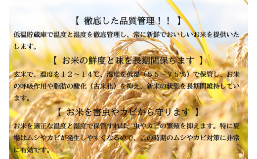 【無洗米】つや姫10kg（5kg×2袋）令和6年産米