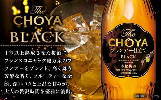 The CHOYA BLACK 700ml The CHOYA EXCELLENT エクセレント 750ml 計2本 セット 飲み比べ 羽曳野商工振興株式会社《60日以内に出荷予定(土日祝除く)》大阪府 羽曳野市 送料無料 梅酒 梅 酒 CHOYA チョーヤ チョーヤ梅酒 お酒 紀州 南高梅 black