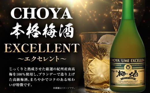 The CHOYA BLACK 700ml The CHOYA EXCELLENT エクセレント 750ml 計2本 セット 飲み比べ 羽曳野商工振興株式会社《60日以内に出荷予定(土日祝除く)》大阪府 羽曳野市 送料無料 梅酒 梅 酒 CHOYA チョーヤ チョーヤ梅酒 お酒 紀州 南高梅 black