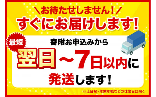 《4ヶ月ごとに3回お届け》定期便 ティッシュペーパー スコッティ 200組 60箱(5箱×12パック) ティッシュ 最短翌日発送【レビューキャンペーン中】