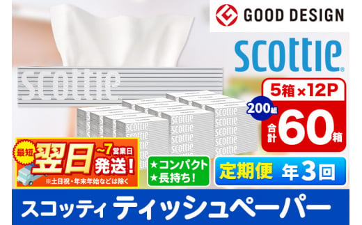 《4ヶ月ごとに3回お届け》定期便 ティッシュペーパー スコッティ 200組 60箱(5箱×12パック) ティッシュ 最短翌日発送【レビューキャンペーン中】