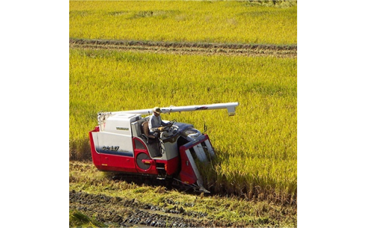 2022年3月発送開始『定期便』ひのひかり(奈良県天理産)精米5kg＜令和3年産＞(一等米)全4回【5043225】