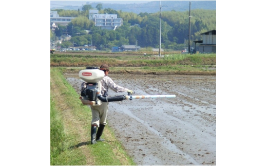 2022年3月発送開始『定期便』ひのひかり(奈良県天理産)精米5kg＜令和3年産＞(一等米)全4回【5043225】