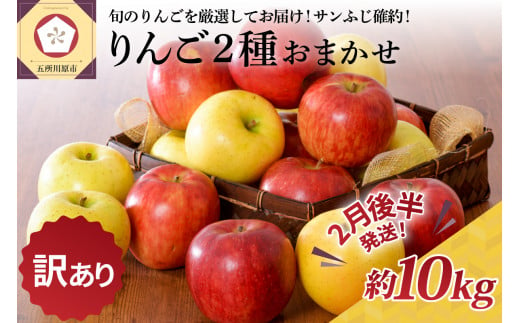 【2025年2月後半発送】【訳あり】 りんご 約10kg サンふじ確約 青森産 品種おまかせ2種以上