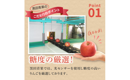 【2025年2月後半発送】【訳あり】 りんご 約10kg サンふじ確約 青森産 品種おまかせ2種以上