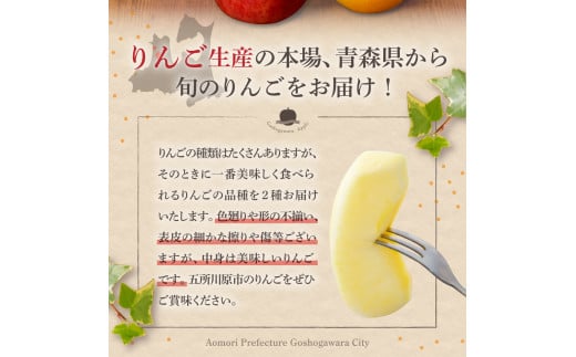 【2025年2月後半発送】【訳あり】 りんご 約10kg サンふじ確約 青森産 品種おまかせ2種以上