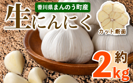 ■＜2022年5月上旬以降順次発送予定＞香川県産 生にんにく(約2kg) 【man068】【Aglio nero】