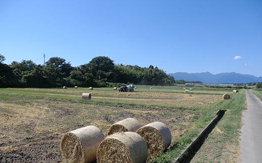 【豊田さん家の牛肉】切り落とし 1kgコース 亀山市/豊田畜産 牛肉 切り落とし 送料無料 [AMAL010]